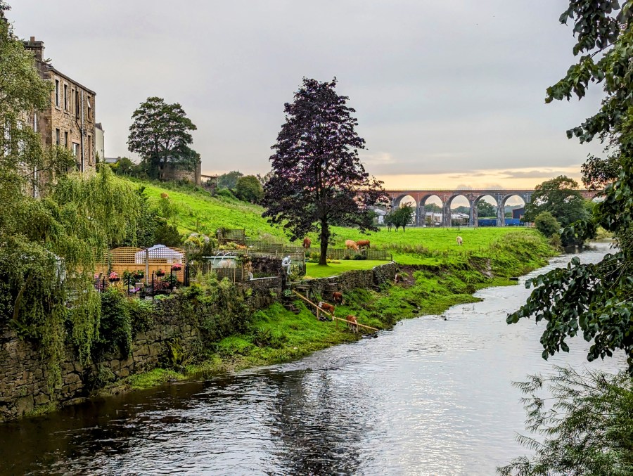 VOMIT ON THE STREETS OF&nbsp;WHALLEY…