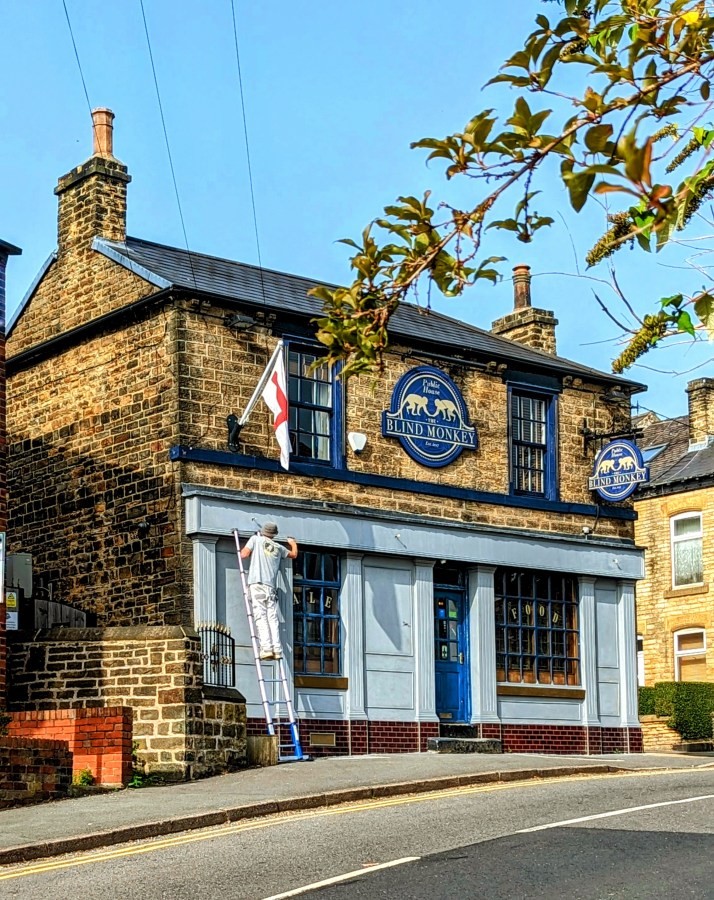 EVERYTHING CHANGES. EVEN THE BLIND&nbsp;MONKEY.