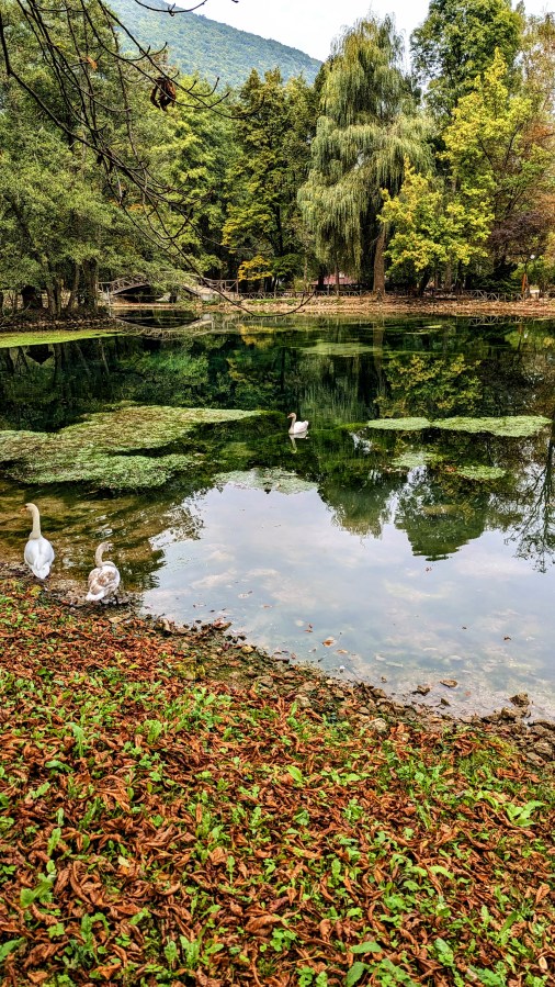 A JOURNEY TO THE SOURCE OF THE RIVER&nbsp;BOSNA