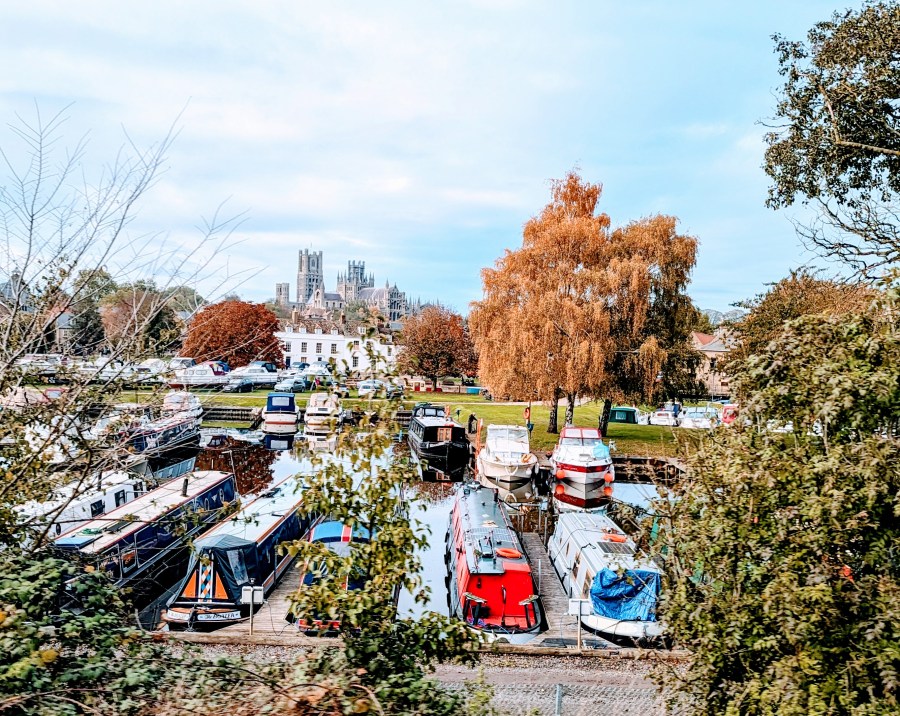 DOES NORWICH STILL CUT THE MUSTARD&nbsp;?