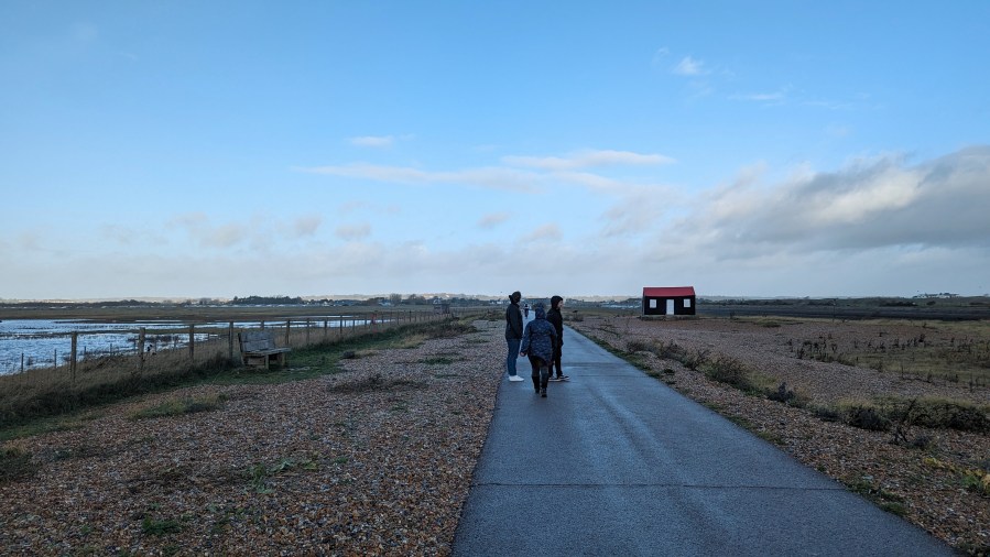 MOTHER AND CHILD&nbsp;REUNION