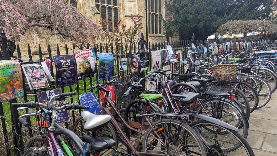 LOOKING FOR CLUES IN TOURIST&nbsp;CAMBRIDGE