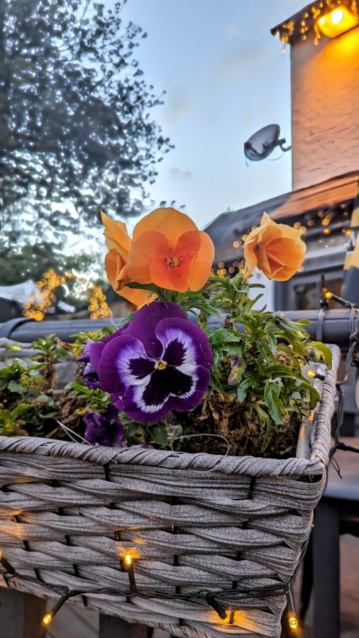 “Go in….you know you want to&nbsp;!”