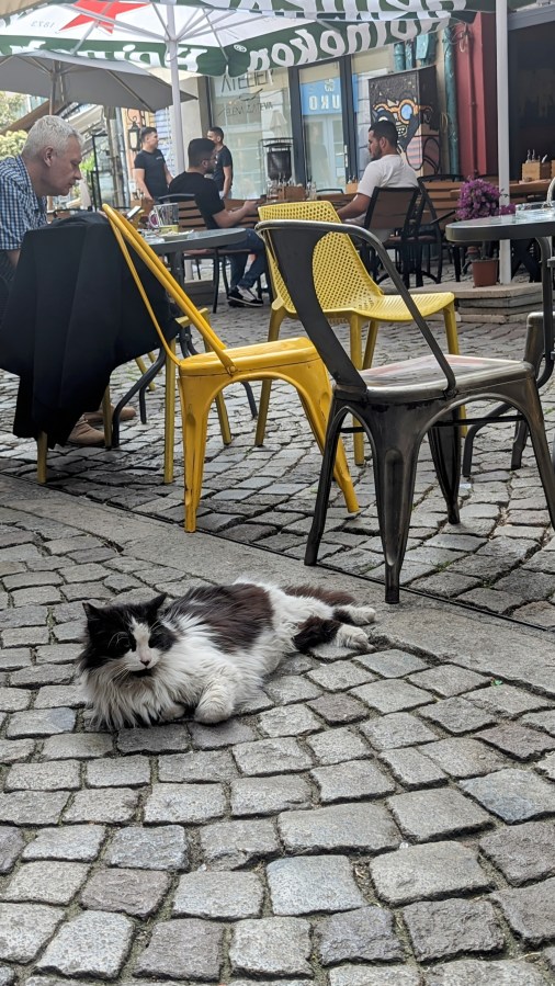 OUR BIG FAT BULGARIAN CRAFT&nbsp;NIGHT