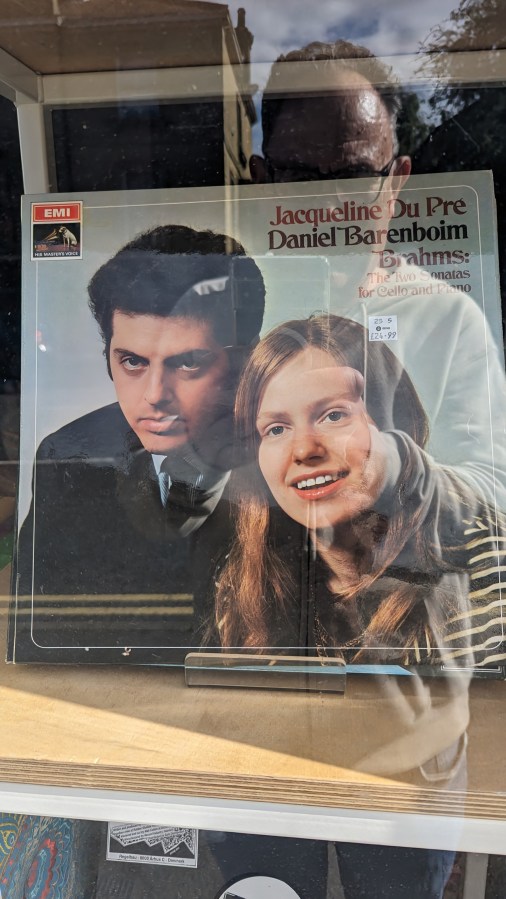 ALPACAS AND ITCHY&nbsp;PIGS