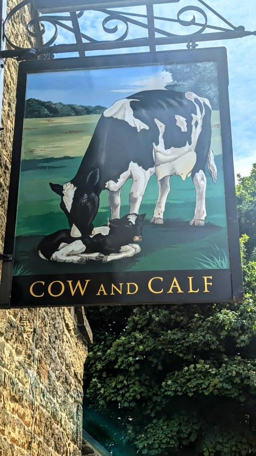 THE COW AND CALF LIVES&nbsp;!