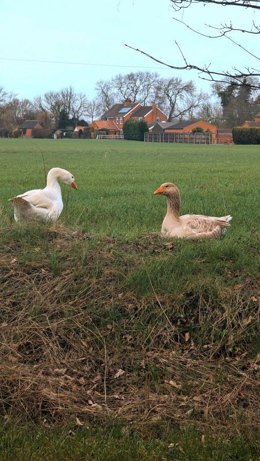 A WADDINGHAM WANDER. WITHOUT THE&nbsp;PUB