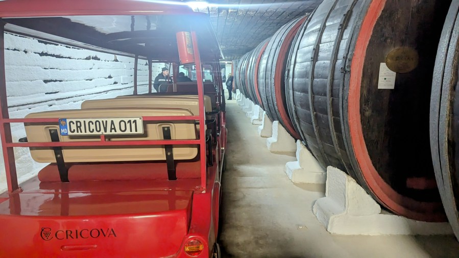 IN THE FOOTSTEPS OF GAGARIN. WINE TASTING AT&nbsp;CRICOVA.