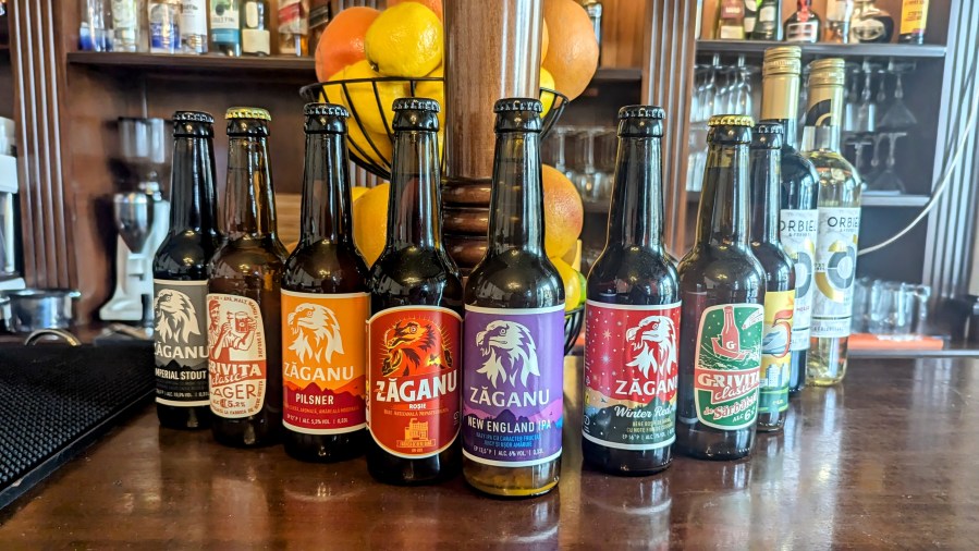 SURVIVING BUCHAREST NORTH