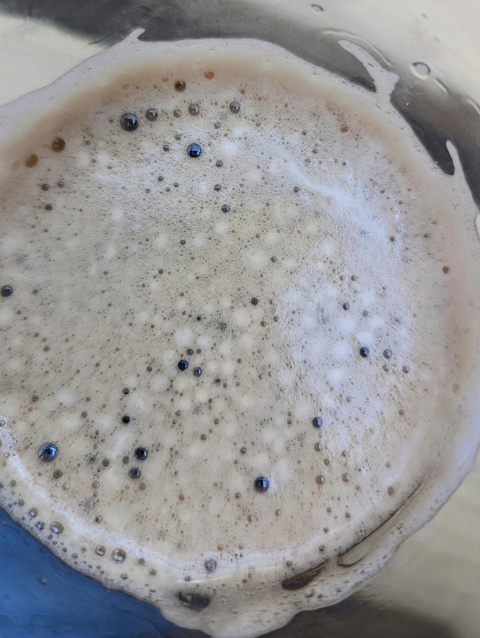 THE HEAD ON THE&nbsp;BEER