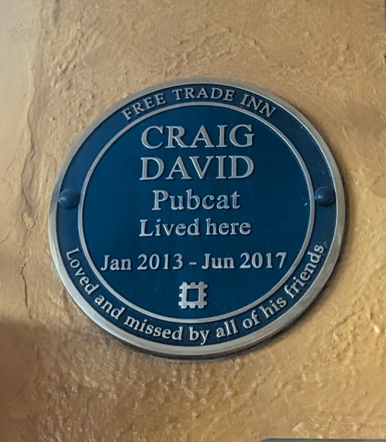 CRAIG DAVID REMEMBERED AT THE FREE&nbsp;TRADE