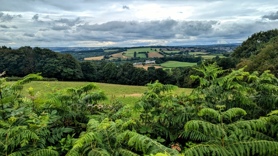 DRONE (VALLEY), NOT&nbsp;DRONES