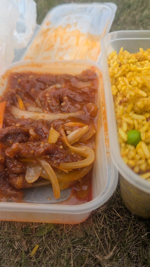 STUCK THE WRONG SIDE OF THE GATE AT SHERBURN STATION SWINGING A BAG OF CRISPY&nbsp;BEEF