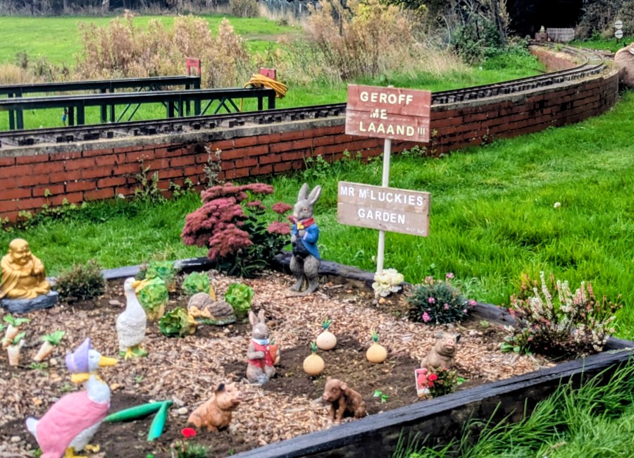 THE FUSSPOT OF&nbsp;FANCOTT