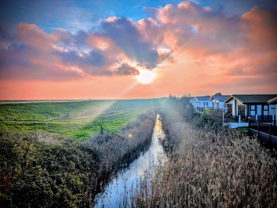 RYE HARBOUR. LIVING IN THE PLASTIC&nbsp;AGE